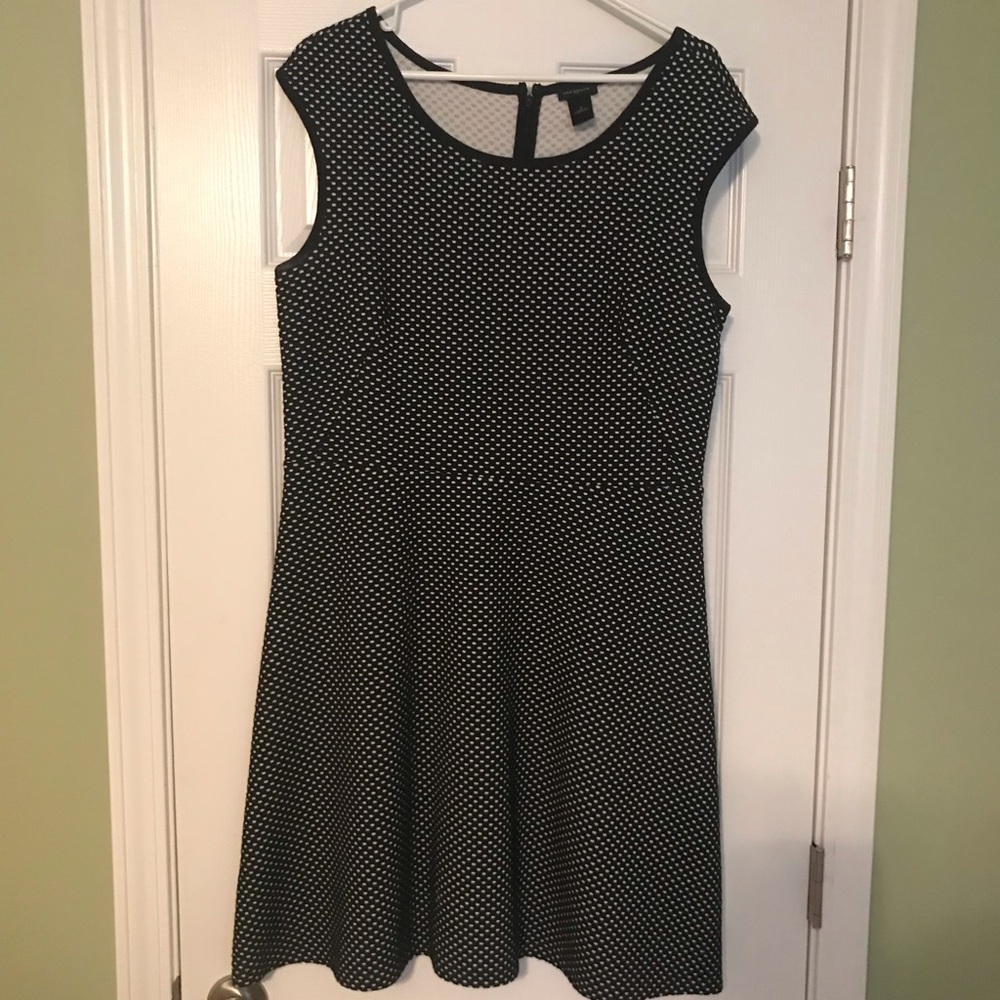 Ann Taylor Black $ White Dress Size 12